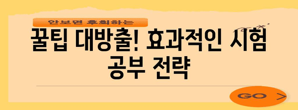 아이돌보미 자격증 합격 꿀팁 | 시험 공부부터 면접 준비까지