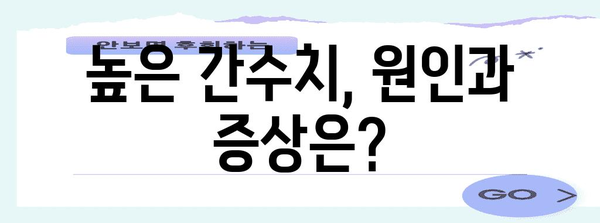 과도한 간수치와 지방간 이해하기 | 정상 범위와 대처 방법