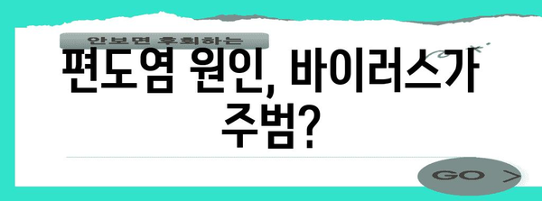 편도염의 증상과 원인, 그리고 자가 치료법