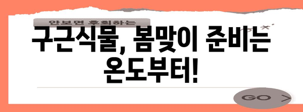 봄 구근식물 개화 완벽 가이드 | 온도 조건과 팁