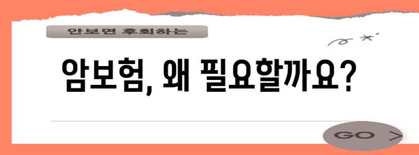 외국인도 가입 가능 | 암보험의 이유와 주의 사항