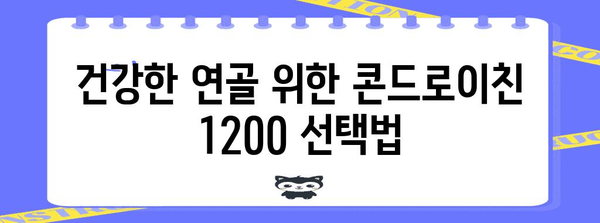 건강한 연골 위한 콘드로이친 1200 선택법