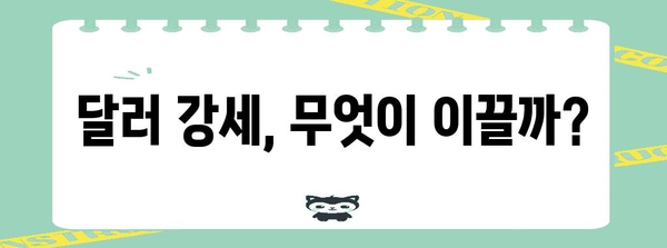 달러 환율 상승 | 요인과 전망
