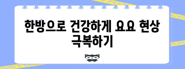요요 현상 차단 | 천안 한의원 맞춤 과정의 비밀