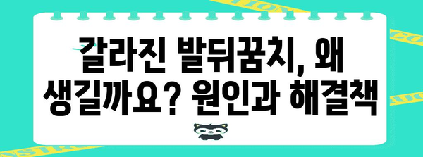 발뒤꿈치 갈라짐과 작별 | 부드럽고 매끈한 발 만들기
