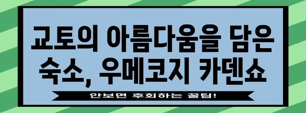 교토의 평화로운 숙박지 | 우메코지 카덴쇼 료칸 체험 후기