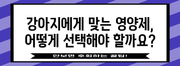 강아지 건강 관리 | 관절 건강을 지키는 영양제 가이드