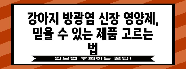 강아지 방광염 신장 영양제 | 선택 가이드와 예방법