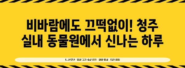 비오는 날 아이들과 함께 갈 만한 청주 실내 동물원 가이드