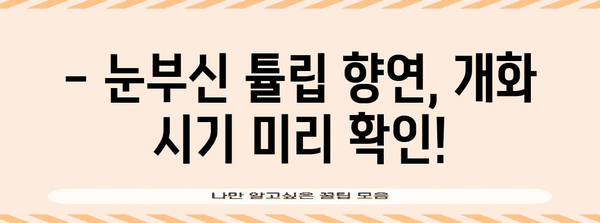 튤립 축제 완벽 가이드 | 입장료, 카페, 개화 정보