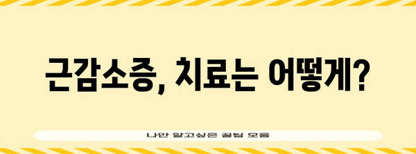 고양이 근감소증 가이드 | 예방부터 치료까지