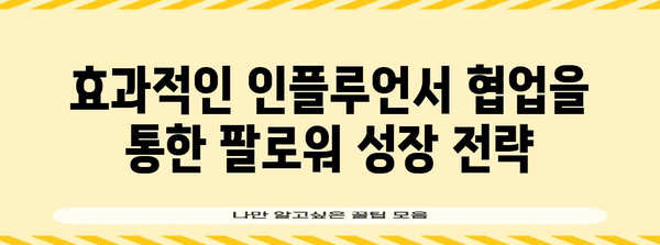 팔로워 폭발 성장 | 인플루언서 마케팅 비결