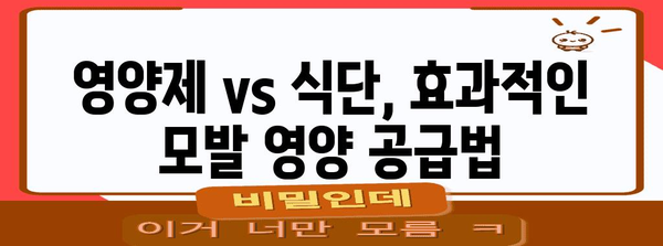 모발 영양 성분 | 건강한 머리카락을 위한 필수 지식