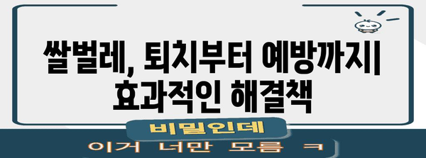 쌀벌레 생기지 않게 하는 방법 | 예방 및 퇴치 솔루션