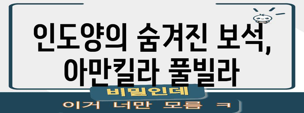 발리 고급 풀빌라 여행지 | 아만킬라