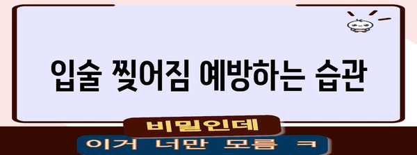 입술 찢어짐의 원인과 예방 | 자가 관리 팁