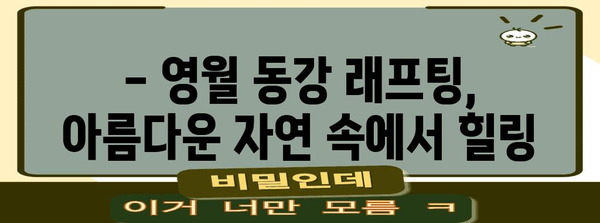 영월 동강 래프팅 즐기는 법 | 강원 여행, 물놀이, 여름 휴가 가이드