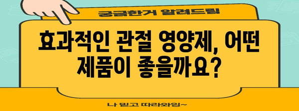관절 영양제 | 필수 성분과 권장 제품 소개