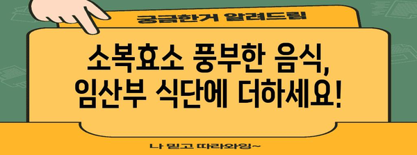 임산부 필수 효소 | 소복효소의 중요성과 섭취 방법