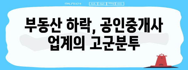 부동산 하락 시 공인 중개사 폐업의 비밀 밝히기