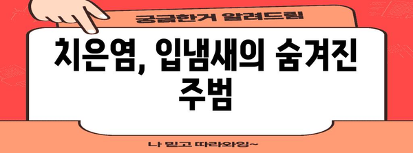 치은염이 숨겨진 입냄새! 원인과 해결법 알려드립니다