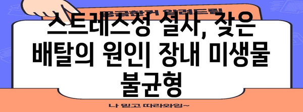 스트레스성 설사와 배아픔의 심각성 | 장내 건강 악화 원인