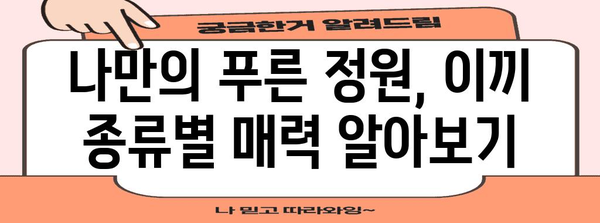 이끼 키우기 가이드 | 종류, 관리법, 커뮤니티 정보