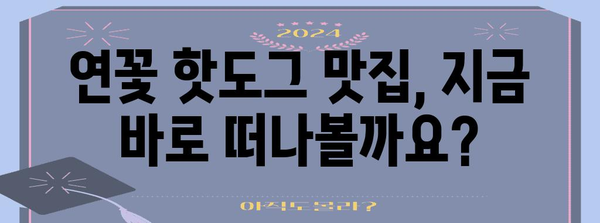 양평 드라이브 코스 | 연꽃 핫도그 맛집과 추천 경로