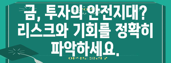금투자의 현명한 선택 | 리스크 대비한 투자 방식 탐구