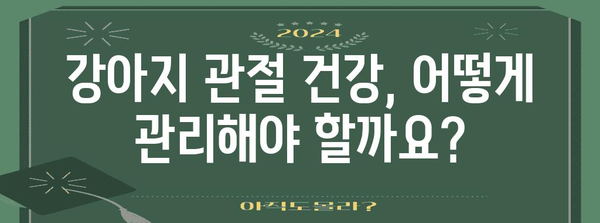 강아지 건강 관리 | 관절 건강을 지키는 영양제 가이드