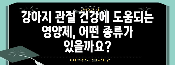 강아지 건강 관리 | 관절 건강을 지키는 영양제 가이드
