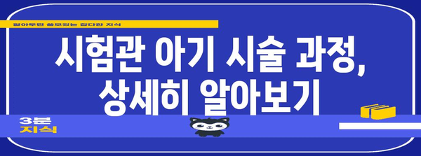 시험관 아기 시술 가이드 | 성공 가능성 높이기