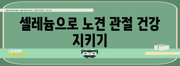 노년견의 건강 비결 | 셀레늄의 힘