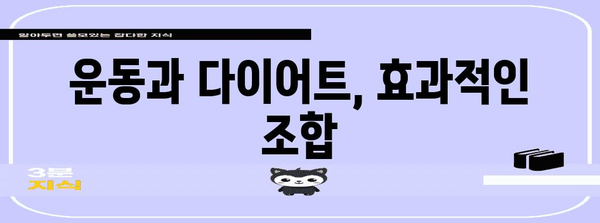 건강한 다이어트 방법 알아보기