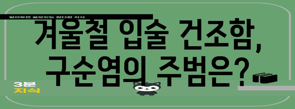 겨울 구순염 완전 정복법 | 원인, 증상, 대처법