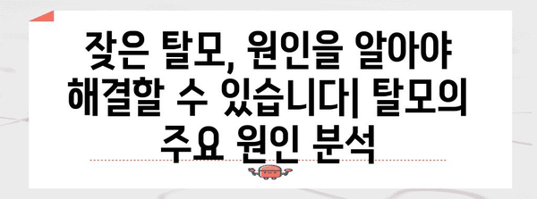 머리카락 관리의 핵심 | 탈모 예방법과 두피 케어