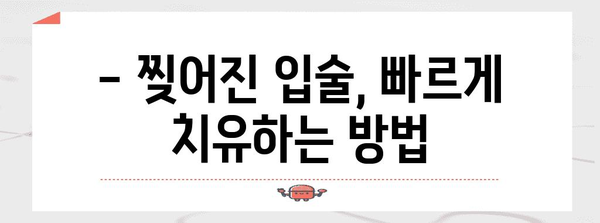 입술 찢어짐 원인 파헤치기 | 예방과 치유 팁