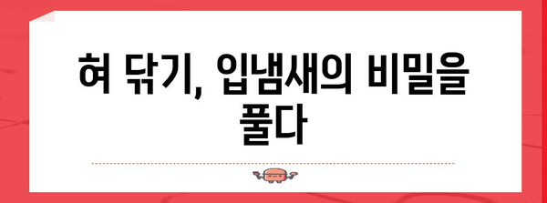 입냄새 없는 깨끗한 혀 | 효과적인 혀 닦기 법과 팁
