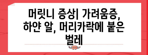 머릿니 증상 및 치료 | 감염 예방 및 대처 방법
