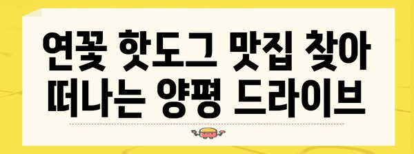 양평 드라이브 코스 | 연꽃 핫도그 맛집과 추천 경로