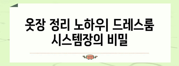 신혼집 효율적 옷장 정리 꿀팁 | 드레스룸 시스템장으로 변신하기