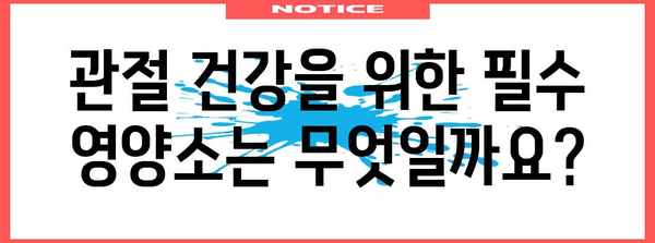 관절 영양제 | 필수 성분과 권장 제품 소개