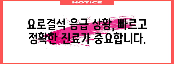 요로결석 응급 대처 | 쇄석 가능 병원 안내