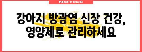 강아지 방광염 신장 영양제 | 선택 가이드와 예방법