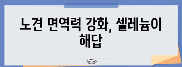 노년견의 건강 비결 | 셀레늄의 힘