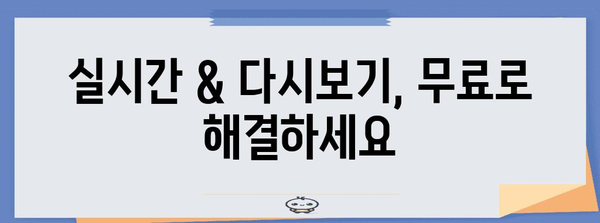 실시간 TV 시청 가이드 | 무료로 다시 보기 가능
