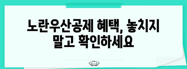 노란우산공제 가이드 | 자영업자 필수 보험의 모든 것