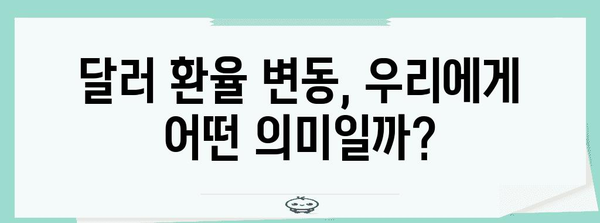 달러 환율 상승 | 요인과 전망