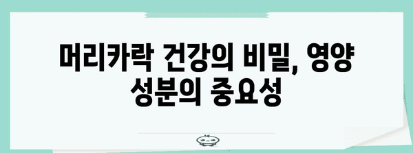 모발 영양 성분 | 건강한 머리카락을 위한 필수 지식