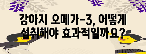 바잇미 닥터 오메가-3 | 강아지 건강의 비결